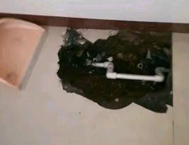 天河卫生间测漏水多少钱